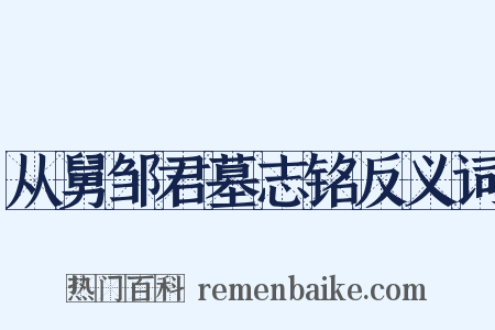 从舅邹君墓志铭反义词是什么意思的图片